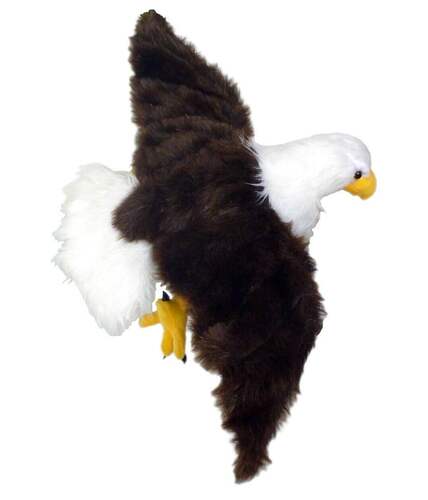 （代购）美国adore仿真白头海雕bald eagle墙壁挂饰毛绒玩具公仔