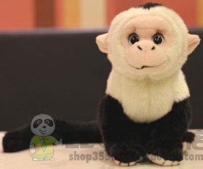 （代购）德国uni-toys仿真白头卷尾猴capuchin毛绒玩具公仔