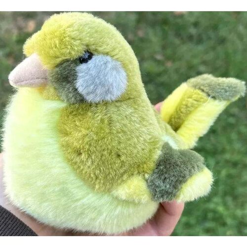 （代购）美国wild republic仿真欧洲绿金翅雀greenfinch毛绒玩具