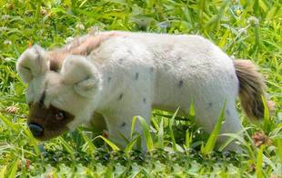 （代购）仿真斑鬣狗hyena毛绒玩具公仔