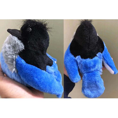 （代购）美国wild republic仿真暗冠蓝鸦steller's jay毛绒玩具