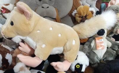 （代购）仿真澳大利亚东部袋鼬eastern quoll毛绒玩具公仔