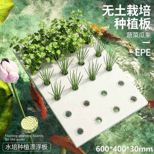 水培蔬菜种植漂浮板定植鱼缸无土栽培设备水上种菜水耕带孔泡沫板