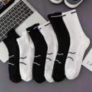 白色毛巾底袜子男款运动中筒袜春秋季吸汗防臭篮球袜专业跑步长袜