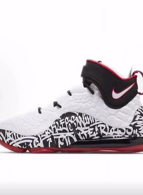 Nike Lebron 17 