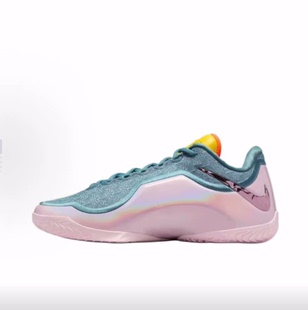 Alt Nike 篮球鞋 男款 中帮 Lebron