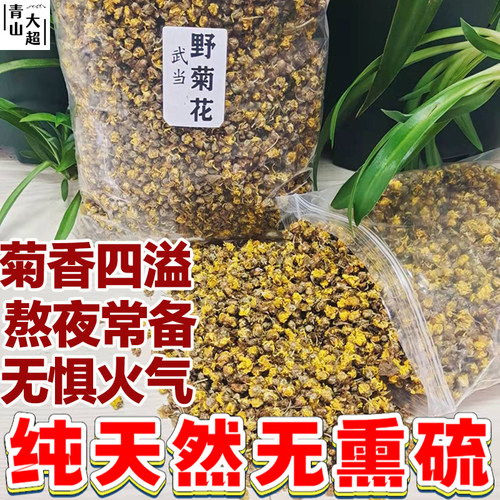 正宗武当野菊花泡茶中药材正品