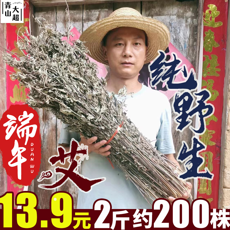 武当山正宗纯野生端午干艾草整棵