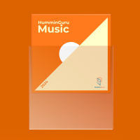 HumminGuru vinyl record case inner lining inner pocket outer pocket LP storage hard shell paper bag cover anti-static thumbnail 7