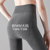 秋冬 女胖mm200斤不掉档棉烟灰色连裤 打底裤 袜加绒2025新款 加大码