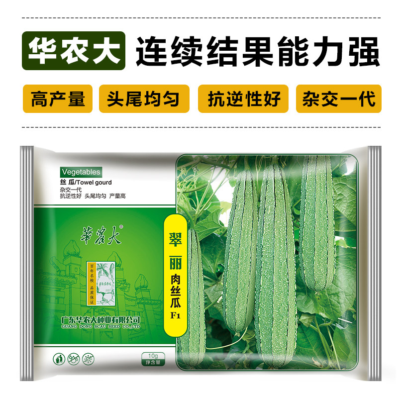 大花点杂交丝瓜种子厚肉高产蔬菜