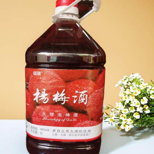 云南特产酒大理杨梅酒5l1桶
