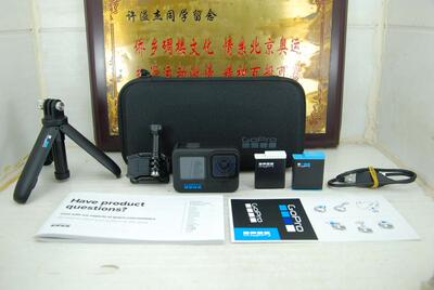 99新 GoPro 10 BLACK 运动摄像机 黑狗10 户外潜水2300万像素wifi