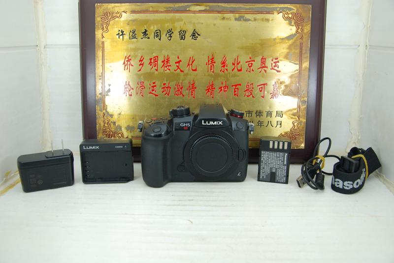 松下 DC-GH5S 4K专业微单 无反数码相机翻转屏超高清视频wifi蓝牙