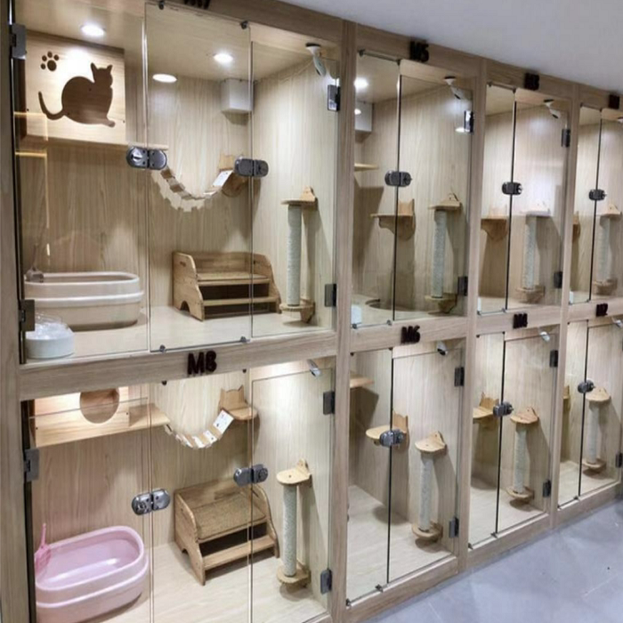 猫舍图片宠物店,家庭,贩卖_大山谷图库