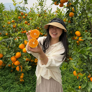 DDD攀枝花沃柑甜蜜多汁
