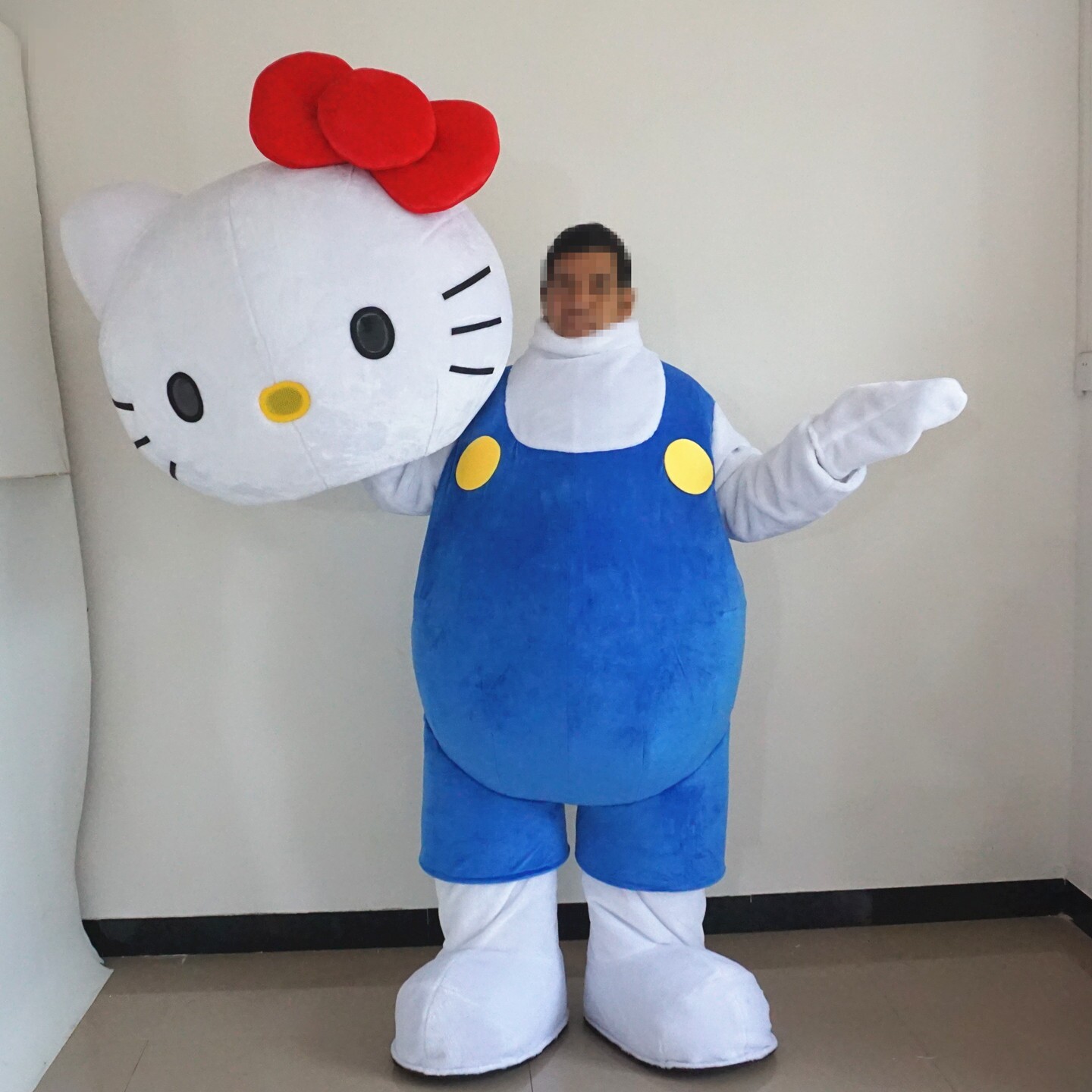 定制动漫夏天穿戴充气Hello KittyKT猫表演出卡通人偶布偶衣服装图片