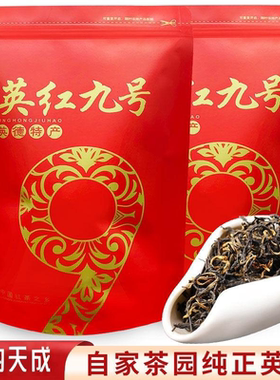 【新茶处理】英红九号英德红茶英九红茶正品浓香型春季耐泡老古树
