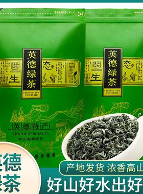 绿色茶园】正宗英德绿茶云雾高山一级浓香型茶叶广东特产送礼自喝
