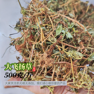 宝宝洗澡护肤新品大飞扬草500g干切货节节花白乳草奶野生中草药