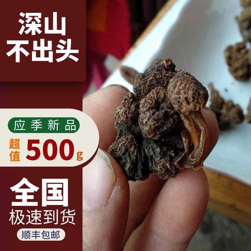 天然野生小号深山不出头500g葛菌丛蓉地重楼石上独脚莲中草药包邮