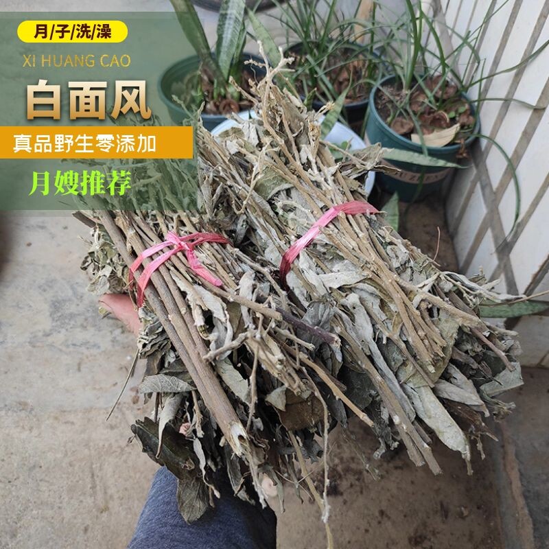 月子洗澡草药野生白面风根苗寻骨风苗扎干货500g洗澡罗岗草药店