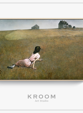 克里斯蒂娜的世界克利world 安德鲁怀斯小众文艺装饰画电表箱挂画