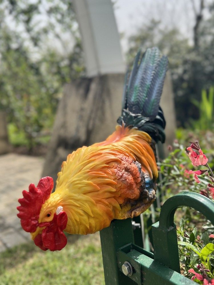 彩色仿真公鸡摆件树脂动物庭院围栏花园入户门台面装饰工艺品