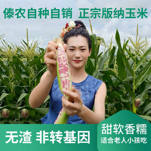 西双版纳拇指小玉米香甜软糯无渣