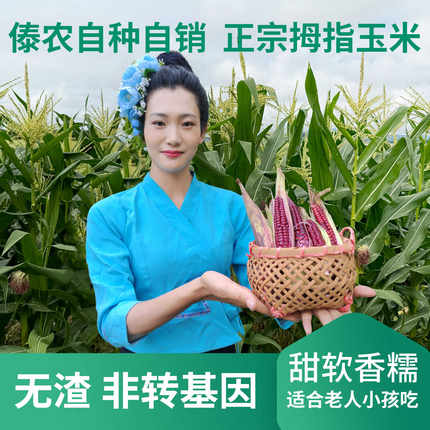 云南西双版纳傣族新鲜花青素甜紫糯小玉米脱皮老人儿童宝宝代早餐