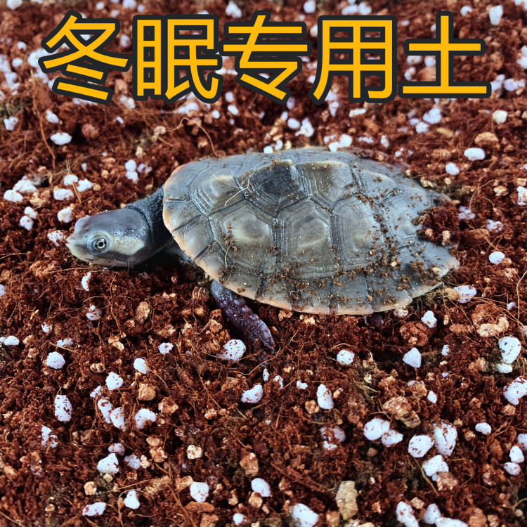 三合一乌龟冬眠珍珠岩用品椰土