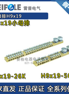 上海雷普H9x19-26K配电箱母排H9x19-50K接地铜排小母排
