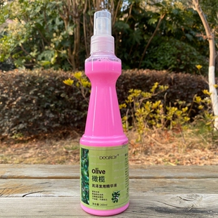 免洗护发素olive康发橄榄柔顺亮泽修护蜜HairCare一喷柔防静电用