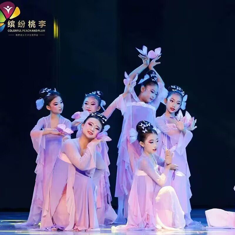 仙姿舞女童古典舞演出服中国风汉服群舞蝴蝶花间舞蹈道具表演服装