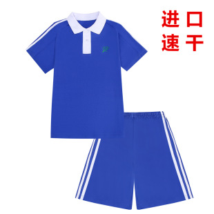 套装 速干深圳小学校服纯棉春秋夏装 长袖 子纯棉 短袖 班服指定面料裤