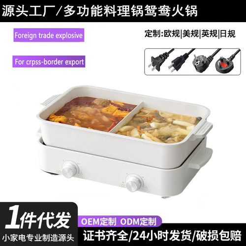 110V跨境出口多功能料理锅电火锅
