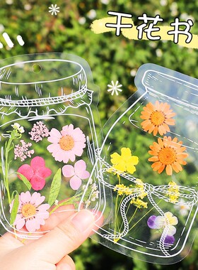 干花书签瓶子里的春天收集标本塑封膜压花树叶小学生自制diy材料