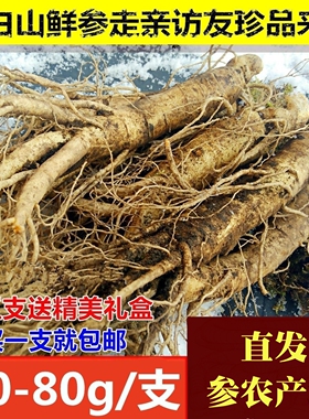现挖带土吉林长白山脉鲜人参 整枝根新鲜人参煲汤泡酒 包邮