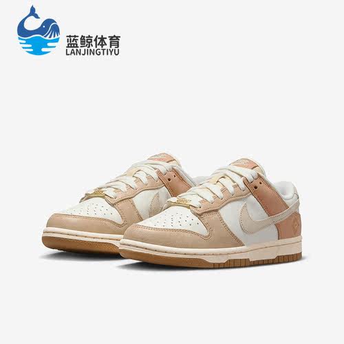 耐克男子时尚运动低帮板鞋