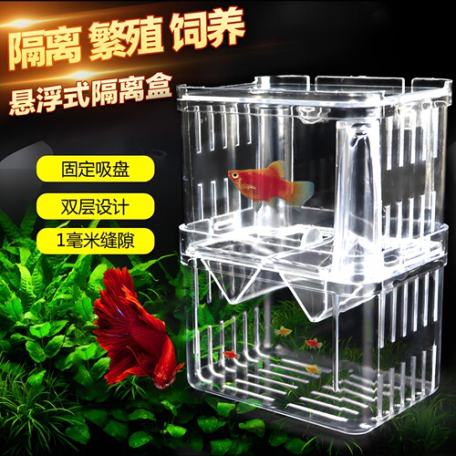 孔雀鱼斗鱼繁殖隔离盒