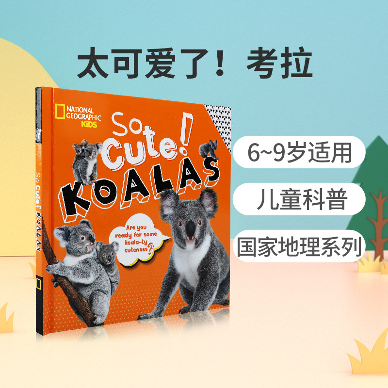英文原版 so cute! koalas太可爱了!