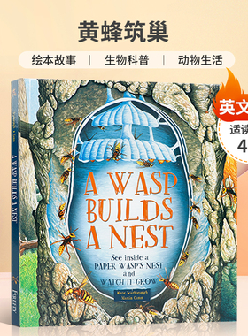 英文原版进口A Wasp Builds a Nest 黄蜂筑巢 观察黄蜂的世界 绘本故事 生物科普 动物生活了解世界4-8岁