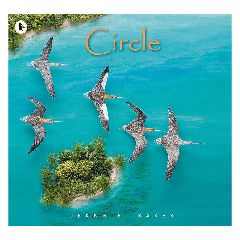 英文原版Circle生生不息斑尾塍鹬的迁徙故事Jeannie Baker诗意绘本 自然依存 生态环境平装4-8岁
