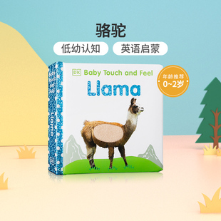 骆驼 英文原版 Feel DK触摸书 早教书 animals Touch 宝宝撕不烂纸板书 绘本Baby 系列 and 低幼儿童英语启蒙认知绘本 Llama