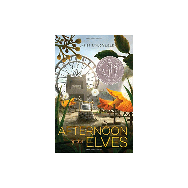 预售英文原版Afternoon of the Elves 纽伯瑞银奖 精灵的午后 学校图书馆杂志年度最佳图书青少年儿童课外阅读进阶读物小说送音频