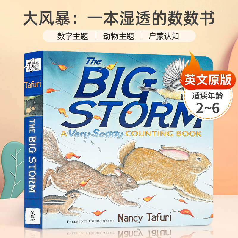 英文原版 大风暴：一本湿透的数数书The Big Storm : A Very Soggy Counting Book 2-6岁低幼儿童数数概念启蒙认知纸板书
