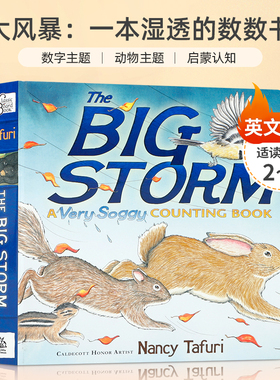 英文原版 大风暴：一本湿透的数数书The Big Storm : A Very Soggy Counting Book 2-6岁低幼儿童数数概念启蒙认知纸板书