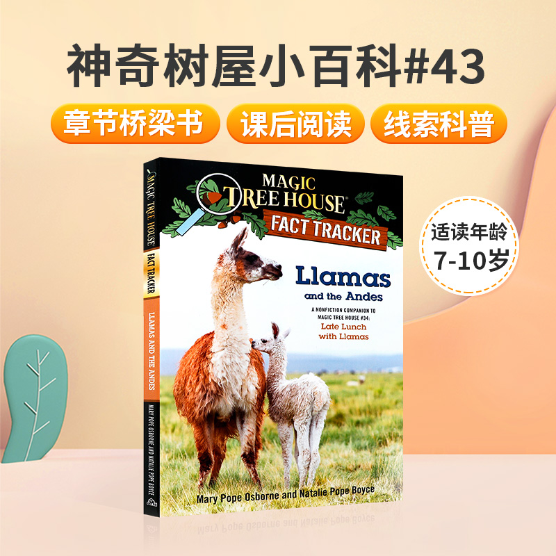 神奇树屋小百科#43Llamas and the Andes英文原版经典冒险小说Magic Tree House Fact Tracker儿童课外阅读趣味故事桥梁初级章节书 书籍/杂志/报纸 儿童读物原版书 原图主图