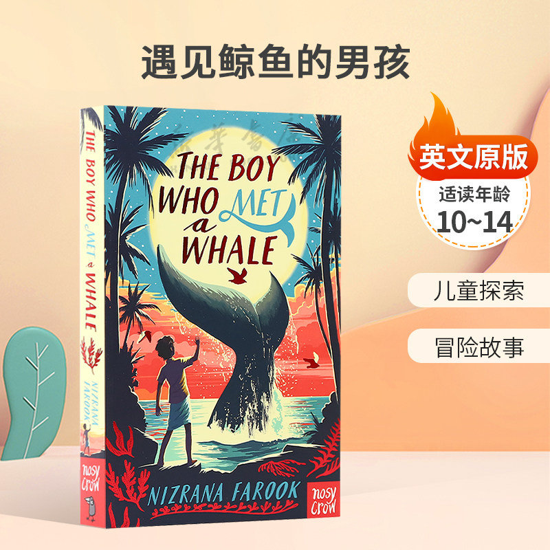 英文原版The Boy Who Met a Whale遇见鲸鱼的男孩丛林冒险故事平装小说冒险故事10-14岁