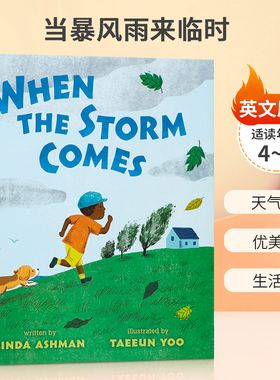 英文原版 When the Storm Comes 当暴风雨来临时  插画师俞泰恩taeeun yoo儿童艺术绘本 4-8岁儿童宝宝生活体验精装绘本